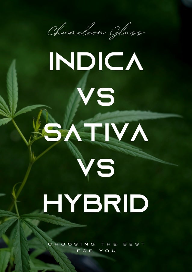 C H O O S I N G T H E B E S T
F O R Y O U
INDICA
VS
SATIVA
VS
HYBRID
Chameleon Glass
 