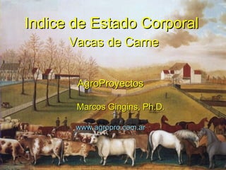 Indice de Estado CorporalIndice de Estado Corporal
Vacas de CarneVacas de Carne
AgroProyectosAgroProyectos
Marcos Gingins, Ph.D.Marcos Gingins, Ph.D.
www.agropro.com.arwww.agropro.com.ar
 