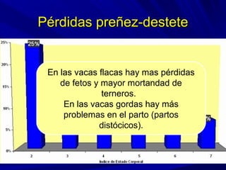 Pérdidas preñez-destetePérdidas preñez-destete
En las vacas flacas hay mas pérdidas
de fetos y mayor mortandad de
terneros.
En las vacas gordas hay más
problemas en el parto (partos
distócicos).
 