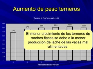 Aumento de peso ternerosAumento de peso terneros
Aumento de Peso Terneros (kg / día)
0,680
0,770
0,800 0,815 0,825
0,800
-
0,100
0,200
0,300
0,400
0,500
0,600
0,700
0,800
0,900
1 2 3 4 5 6
Indice de Estado Corporal Vacas
El menor crecimiento de los terneros de
madres flacas se debe a la menor
producción de leche de las vacas mal
alimentadas
 