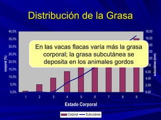 Distribución de la GrasaDistribución de la Grasa
0,0%
5,0%
10,0%
15,0%
20,0%
25,0%
30,0%
35,0%
40,0%
1 2 3 4 5 6 7 8 9
Estado Corporal
corporal(%)
0,00
2,00
4,00
6,00
8,00
10,00
12,00
14,00
16,00
18,00
subcutánea(mm)
Corporal Subcutánea
En las vacas flacas varía más la grasa
corporal; la grasa subcutánea se
deposita en los animales gordos
 