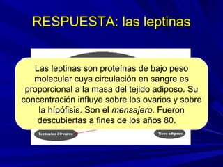 RESPUESTA: las leptinasRESPUESTA: las leptinas
Las leptinas son proteínas de bajo peso
molecular cuya circulación en sangre es
proporcional a la masa del tejido adiposo. Su
concentración influye sobre los ovarios y sobre
la hípófisis. Son el mensajero. Fueron
descubiertas a fines de los años 80.
 