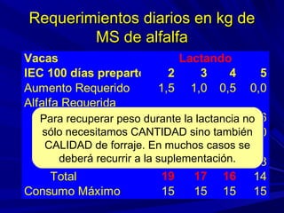 Requerimientos diarios en kg deRequerimientos diarios en kg de
MS de alfalfaMS de alfalfa
Vacas
IEC 100 días preparto 2 3 4 5
Aumento Requerido 1,5 1,0 0,5 0,0
Alfalfa Requerida
Mantenimiento 6 6 6 6
Engorde 5 3 2 0
Feto
Leche 8 8 8 8
Total 19 17 16 14
Consumo Máximo 15 15 15 15
Lactando
Para recuperar peso durante la lactancia no
sólo necesitamos CANTIDAD sino también
CALIDAD de forraje. En muchos casos se
deberá recurrir a la suplementación.
 