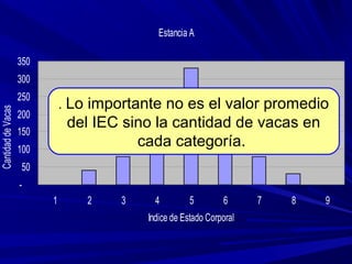 Estancia A
-
50
100
150
200
250
300
350
1 2 3 4 5 6 7 8 9
Indice de Estado Corporal
CantidaddeVacas
. Lo importante no es el valor promedio
del IEC sino la cantidad de vacas en
cada categoría.
 