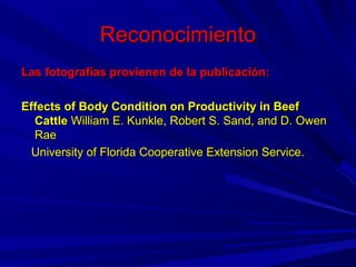 ReconocimientoReconocimiento
Las fotografías provienen de la publicación:Las fotografías provienen de la publicación:
Effects of Body Condition on Productivity in BeefEffects of Body Condition on Productivity in Beef
CattleCattle William E. Kunkle, Robert S. Sand, and D. OwenWilliam E. Kunkle, Robert S. Sand, and D. Owen
RaeRae
University of Florida Cooperative Extension Service.University of Florida Cooperative Extension Service.
 