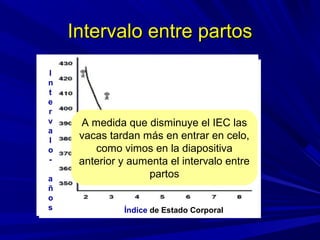 Intervalo entre partosIntervalo entre partos
Índice de Estado Corporal
ÍÍndice de Estado CorporalÍndice de Estado Corporal
I
n
t
e
r
v
a
l
o
I
n
t
e
r
v
a
l
o
-
a
ñ
o
s
A medida que disminuye el IEC las
vacas tardan más en entrar en celo,
como vimos en la diapositiva
anterior y aumenta el intervalo entre
partos
 