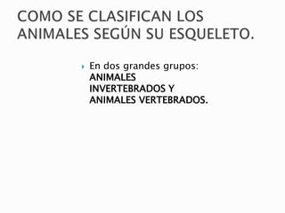  En dos grandes grupos:
ANIMALES
INVERTEBRADOS Y
ANIMALES VERTEBRADOS.
 