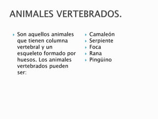  Son aquellos animales
que tienen columna
vertebral y un
esqueleto formado por
huesos. Los animales
vertebrados pueden
ser:
 Camaleón
 Serpiente
 Foca
 Rana
 Pingüino
 