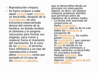  Reproducción vivípara:
 Se llama vivíparo a todo
aquel animal cuyo embrión
se desarrolla, después de la
fecundación, en una
estructura especializada
dentro del vientre de la
hembra, en donde recibirá
el alimento y el oxígeno
necesarios para formar sus
órganos, para crecer y
madurar hasta el momento
del nacimiento. En el caso
de las plantas, el término
hace referencia a un tipo de
reproducción a través
delos embriones, como por
ejemplo en el caso de
los brotes o capullos,
que se desarrollan desde un
principio sin interrupción
alguna, es decir, las plantas
vivíparas producen semillas
que germinan antes de
separarse de la planta madre.
 La forma más avanzada de
viviparismo se
llama viviparismo
placentario, que se da en casi
todos los mamíferos a
excepción de
los monotremas, los cuales
ponen huevos, y
los marsupiales, que carecen
de placenta, por lo que
el feto es parido en un
estado muy prematuro, y
debe continuar su desarrollo
en una bolsa exterior
llamada marsupio. Son
también vivíparos
algunos reptiles, peces y anfi
bios urodelos.
 