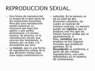  Esta forma de reproducción
es propia de la gran parte de
los organismos eucariotas.
Para que esta reproducción
pueda realizarse, es
necesario que haya dos
padres y que ambos
pertenezcan a la misma
especie. Se necesita, en la
reproducción sexual, que
ocurran dos fenómenos, la
meiosis por un lado, y la
fecundación por otro.
 La meiosis, que es una forma
de reproducción celular de la
que devienen células hijas
cuya carga cromosómica es
 reducida. En la meiosis se
da un total de dos
divisiones celulares, las
cuales se realizan de
manera sucesiva. La meiosis
puede ser cigótica, que se
produce una vez que las
células fueron unidas por el
apareamiento, o
bien, somática, que se
produce en los órganos
sexuales que producen
gametos. En la
fecundación se conforma, a
partir de dos células
reproductoras, una sola,
doblándose así el número
de cromosomas.
 