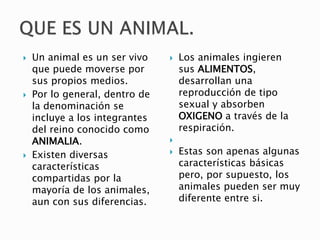  Un animal es un ser vivo
que puede moverse por
sus propios medios.
 Por lo general, dentro de
la denominación se
incluye a los integrantes
del reino conocido como
ANIMALIA.
 Existen diversas
características
compartidas por la
mayoría de los animales,
aun con sus diferencias.
 Los animales ingieren
sus ALIMENTOS,
desarrollan una
reproducción de tipo
sexual y absorben
OXIGENO a través de la
respiración.

 Estas son apenas algunas
características básicas
pero, por supuesto, los
animales pueden ser muy
diferente entre si.
 