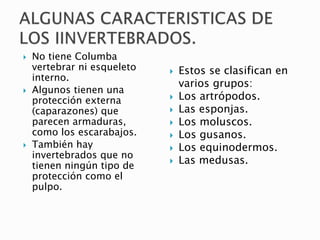  No tiene Columba
vertebrar ni esqueleto
interno.
 Algunos tienen una
protección externa
(caparazones) que
parecen armaduras,
como los escarabajos.
 También hay
invertebrados que no
tienen ningún tipo de
protección como el
pulpo.
 Estos se clasifican en
varios grupos:
 Los artrópodos.
 Las esponjas.
 Los moluscos.
 Los gusanos.
 Los equinodermos.
 Las medusas.
 