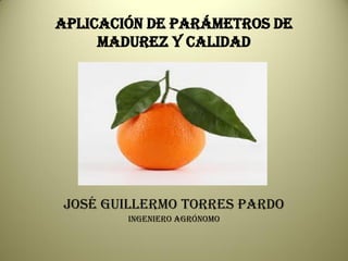 APLICACIÓN DE PARÁMETROS DE
MADUREZ Y CALIDAD

JOSÉ GUILLERMO TORRES PARDO
Ingeniero Agrónomo

 