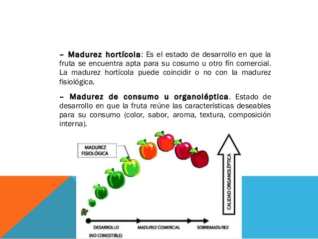 Indice de madurez