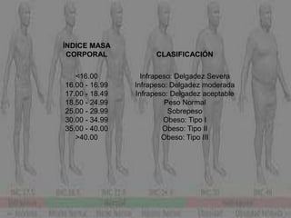 ÍNDICE MASA
CORPORAL CLASIFICACIÓN
<16.00
16.00 - 16.99
17.00 - 18.49
18.50 - 24.99
25.00 - 29.99
30.00 - 34.99
35.00 - 40.00
>40.00
Infrapeso: Delgadez Severa
Infrapeso: Delgadez moderada
Infrapeso: Delgadez aceptable
Peso Normal
Sobrepeso
Obeso: Tipo I
Obeso: Tipo II
Obeso: Tipo III
 