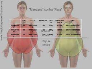 EDAD SEXO ESTATURA PES
O
CONDICION
FISICA
IMC
INDIVIDUO
N° 1
26 MASCULIN
O
1,63 75Kg ACTIVA 28,23 SOBREPESO
INDIVIDUO
N° 2
32 MASCULIN
O
1,59 65Kg ACTIVA 25,71 SOBREPESO
INDIVIDUO
N° 3
23 MASCULIN
O
1,70 82Kg ACTIVA 28,37 SOBREPESO
 