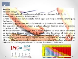 Función
Proveen energía.
Actúan como vehículo para la grasa soluble en las vitaminas A, D, E y K.
Favorece en la absorción de la vitamina D.
Ayuda al calcio para ser absorbido por el tejido del cuerpo, particularmente para
los huesos y dientes.
También son importantes para la conversión de la carotina en vitamina A.
Los depósitos de grasa protegen y cubren algunos órganos como los riñones,
corazón e hígado.
El Índice de Masa Corporal nos dice si estamos dentro de unos límites saludables
de peso. Es la fórmula establecida de cálculo para determinar el peso ideal y
saludable de una persona (da igual que sea hombre o mujer, son resultados
estándares) según su estatura y su peso actual. Esta forma de determinar el peso
ideal se basa en un cálculo estándar que es apto para hombres y/o mujeres
mayores de 18 años que se desarrolla a través de una sencilla fórmula.
 
