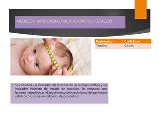 MEDICION ANTROPOMETRICA: PERIMETRO CEFALICO
• Se considera un indicador del crecimiento de la masa cefálica y un
indicador indirecto del estado de nutrición. En neonatos con
lesiones neurológicas el seguimiento del crecimiento del perímetro
cefálico constituye un indicador de pronóstico.
Pretermino 0.1-0.6 cm
Termino 0.5 cm
 
