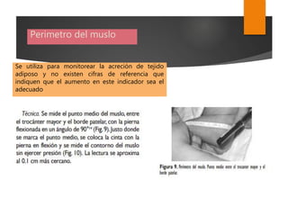 Perimetro del muslo
Se utiliza para monitorear la acreción de tejido
adiposo y no existen cifras de referencia que
indiquen que el aumento en este indicador sea el
adecuado
 