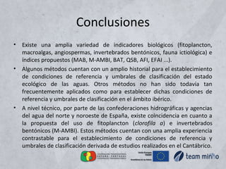 Conclusiones
• Existe una amplia variedad de indicadores biológicos (fitoplancton,
macroalgas, angiospermas, invertebrados bentónicos, fauna ictiológica) e
índices propuestos (MAB, M-AMBI, BAT, QSB, AFI, EFAI ...).
• Algunos métodos cuentan con un amplio historial para el establecimiento
de condiciones de referencia y umbrales de clasificación del estado
ecológico de las aguas. Otros métodos no han sido todavía tan
frecuentemente aplicados como para establecer dichas condiciones de
referencia y umbrales de clasificación en el ámbito ibérico.
• A nivel técnico, por parte de las confederaciones hidrográficas y agencias
del agua del norte y noroeste de España, existe coincidencia en cuanto a
la propuesta del uso de fitoplancton (clorofila a) e invertebrados
bentónicos (M-AMBI). Estos métodos cuentan con una amplia experiencia
contrastable para el establecimiento de condiciones de referencia y
umbrales de clasificación derivada de estudios realizados en el Cantábrico.
 