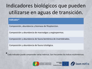 Indicadores biológicos que pueden
utilizarse en aguas de transición.
*Cada indicador puede comprender varias métricas. Son frecuentes los índices multimétricos.
Indicador*
Composición, abundancia y biomasa de fitoplancton.
Composición y abundancia de macroalgas y angiospermas.
Composición y abundancia de fauna bentónica de invertebrados.
Composición y abundancia de fauna ictiológica.
 