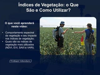 Índices de Vegetação: o Que
São e Como Utilizar?
O que você aprenderá
neste vídeo:
• Comportamento espectral
da vegetação e seu impacto
nos índices de vegetação;
• Quais são os índices de
vegetação mais utilizados
(NDVI, EVI, SAVI e VARI).
 