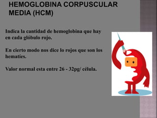 Indica la cantidad de hemoglobina que hay
en cada glóbulo rojo.
En cierto modo nos dice lo rojos que son los
hematíes.
Valor normal esta entre 26 - 32pg/ célula.
 