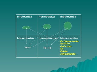 Fe Indices hematimetricos | PPT