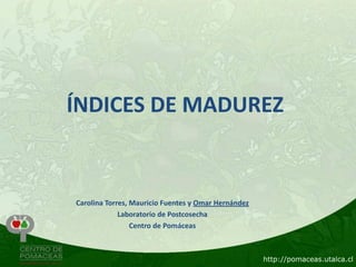 ÍNDICES DE MADUREZ
Carolina Torres, Mauricio Fuentes y Omar Hernández
Laboratorio de Postcosecha
Centro de Pomáceas
 