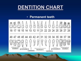 INDICES USED IN DENTISTRY.pptx
