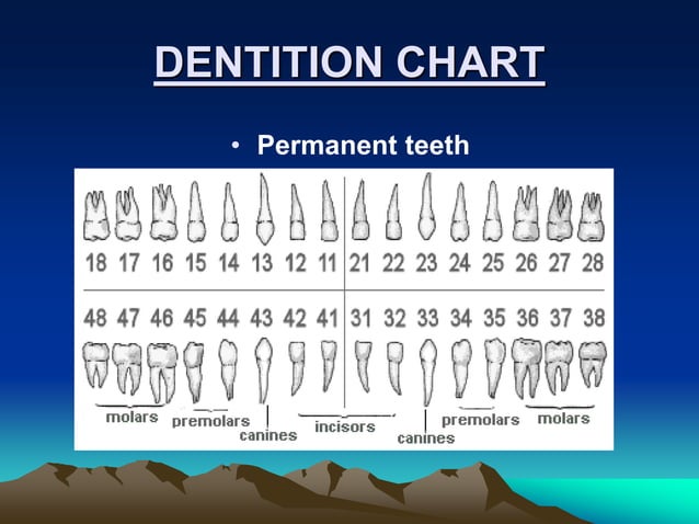 INDICES USED IN DENTISTRY.pptx