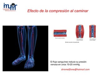 El flujo sanguíneo reduce su presión
venosa en unos 10-20 mmHg.
Efecto de la compresión al caminar
 