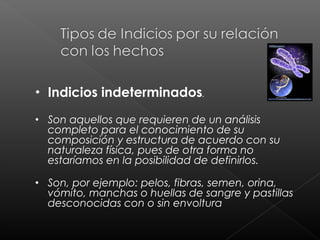 •

Indicios indeterminados.

•

Son aquellos que requieren de un análisis
completo para el conocimiento de su
composición y estructura de acuerdo con su
naturaleza física, pues de otra forma no
estaríamos en la posibilidad de definirlos.

•

Son, por ejemplo: pelos, fibras, semen, orina,
vómito, manchas o huellas de sangre y pastillas
desconocidas con o sin envoltura

 