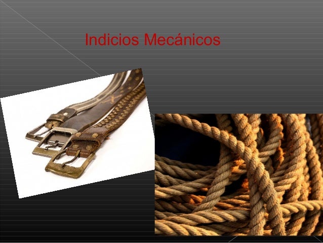 Indicios en la Criminalistica ( Basico ) Indicios en la Criminalistica ( Basico )