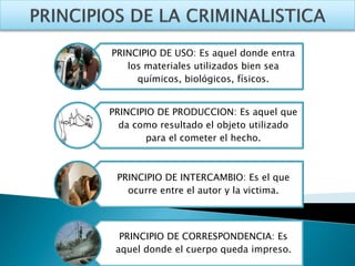 PRINCIPIO DE USO: Es aquel donde entra 
los materiales utilizados bien sea 
químicos, biológicos, físicos. 
PRINCIPIO DE PRODUCCION: Es aquel que 
da como resultado el objeto utilizado 
para el cometer el hecho. 
PRINCIPIO DE INTERCAMBIO: Es el que 
ocurre entre el autor y la victima. 
PRINCIPIO DE CORRESPONDENCIA: Es 
aquel donde el cuerpo queda impreso. 
 