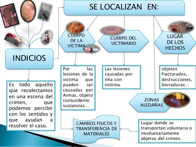 Indicios, evidencias y principios. Indicios, evidencias y principios.