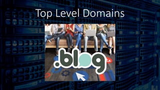Top Level Domains
 