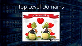Top Level Domains
 