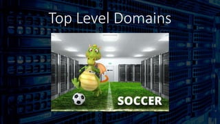 Top Level Domains
 