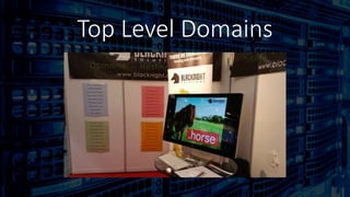 Top Level Domains
 