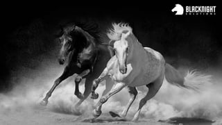 I run a company called Blacknight
 