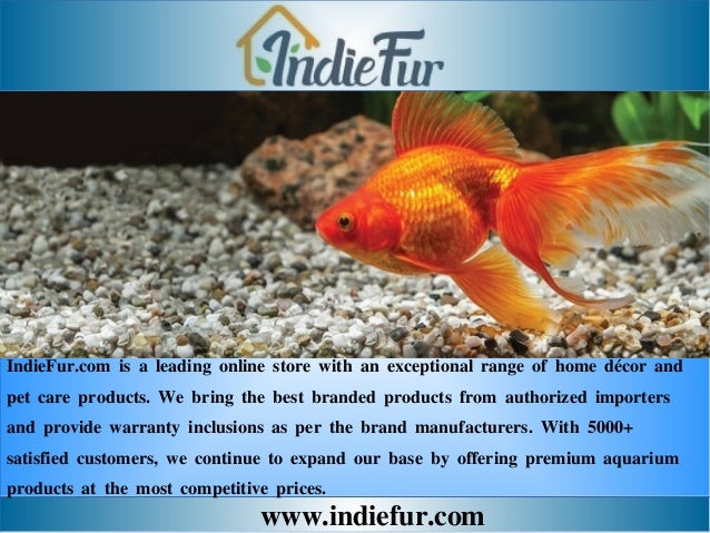 online fish supply store