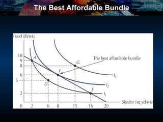 The Best Affordable Bundle 