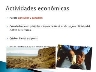 Pueblo  agricultor y ganadero . Cosechaban maíz y frijoles a través de técnicas de riego artificial y del cultivo de terrazas. Criaban llamas y alpacas.  Por la limitación de su medio geográfico, sus habitantes ampliaron su economía a través del comercio. 