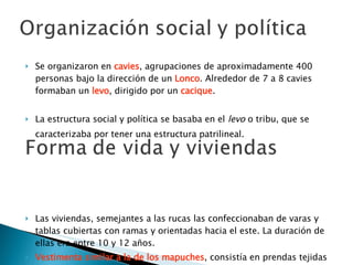 Se organizaron en  cavies , agrupaciones de aproximadamente 400 personas bajo la dirección de un  Lonco . Alrededor de 7 a 8 cavies formaban un  levo , dirigido por un  cacique . La estructura social y política se basaba en el  levo  o tribu, que se caracterizaba por tener una estructura patrilineal.   Las viviendas, semejantes a las rucas las confeccionaban de varas y tablas cubiertas con ramas y orientadas hacia el este. La duración de ellas era entre 10 y 12 años.  Vestimenta similar a la de los mapuches , consistía en prendas tejidas con lanas de llama y guanaco ,teñidas con fibras vegetales por las mujeres.  No se caracterizaron por su habilidad guerrera .  
