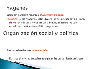 Indígenas nómades canoeros,  recolectores marinos . Ubicación:   la isla Navarino e islas ubicadas al sur de esta hasta el Cabo de Hornos y la orilla norte del canal Beagle, en territorios que actualmente pertenecen a Chile y Argentina.  Formaban bandas que  no tenían jefes .  Durante el invierno buscaban refugio en las costas donde armaban sus chozas.  La base era la  familia dirigidos por el padre  y con  roles asignados a cada integrante . Estos grupos familiares coexistían e interactuaban constituyendo  partidas de caza  no muy numerosas. 