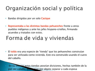 Bandas dirigidas por un solo   Cacique Representaba a las distintas bandas pehuenches  frente a otros pueblos indígenas y ante los jefes hispano–criollos, firmando acuerdos y tratados con estos. El  toldo  era una especie de “tienda” que los pehuenches construían para ser utilizada como vivienda. Este era construido usando el cuero del caballo. En su interior estas tiendas poseían divisiones, hechas también de la piel del caballo, que tenían por objeto separar a cada esposa pehuenche. 