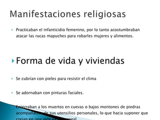 Practicaban el infanticidio femenino, por lo tanto acostumbraban atacar las rucas mapuches para robarles mujeres y alimentos. Forma de vida y viviendas Se cubrían con pieles para resistir el clima  Se adornaban con pinturas faciales. Enterraban a los muertos en cuevas o bajos montones de piedras acompañados de sus utensilios personales, lo que hacia suponer que creían en una vida extraterrenal.     