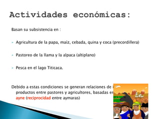 Basan su subsistencia en : Agricultura de la papa, maíz, cebada, quina y coca (precordillera) Pastoreo de la llama y la alpaca (altiplano)  Pesca en el lago Titicaca.  Debido a estas condiciones se generan relaciones de intercambio de productos entre pastores y agricultores, basadas en el  principio del ayne  ( reciprocidad  entre aymaras) 