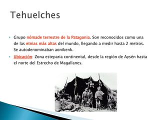 Grupo   nómade terrestre de la Patagonia . Son reconocidos como una de las  etnias más altas  del mundo, llegando a medir hasta 2 metros.  Se autodenominaban aonikenk. Ubicación :  Zona esteparia continental, desde la región de Aysén hasta el norte del Estrecho de Magallanes.  